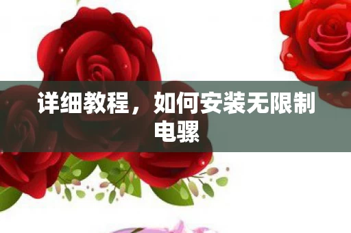 如何安装无限制电骡图片