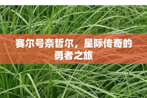 星际传奇的勇者之旅图片