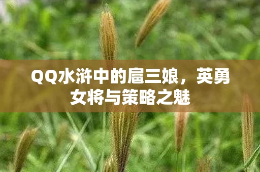 QQ水浒中的扈三娘图片