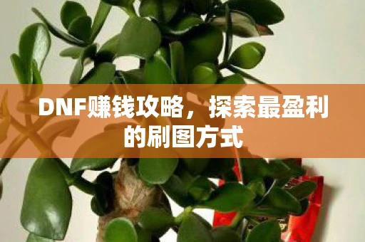 DNF赚钱攻略，探索最盈利的刷图方式