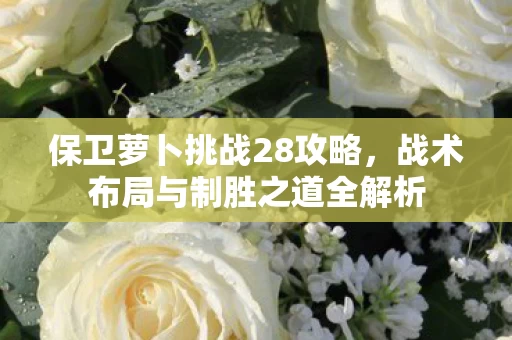 战术布局与制胜之道全解析图片