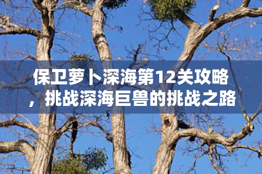 保卫萝卜深海第12关攻略图片