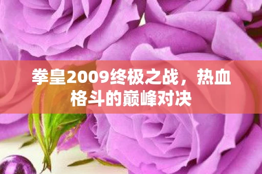 拳皇2009终极之战图片