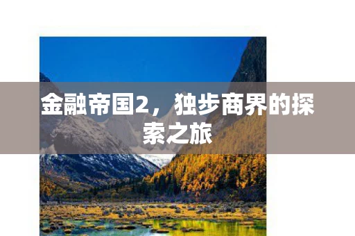 独步商界的探索之旅图片