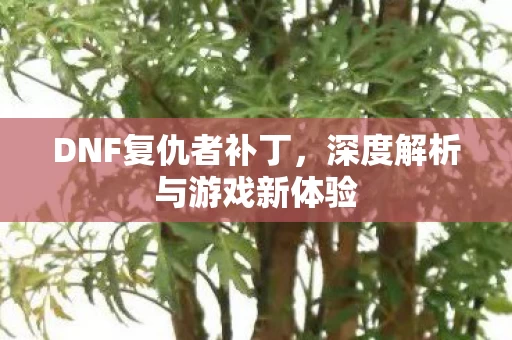 深度解析与游戏新体验图片