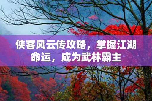 侠客风云传攻略，掌握江湖命运，成为武林霸主