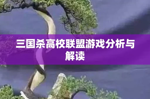 三国杀高校联盟游戏分析与解读图片