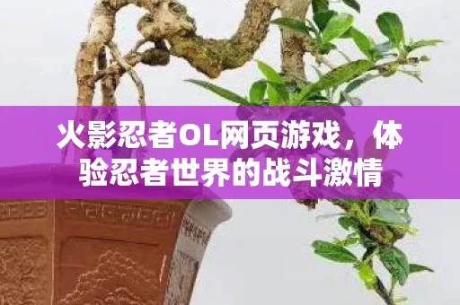 体验忍者世界的战斗激情图片