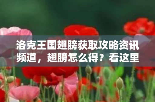 洛克王国翅膀获取攻略资讯频道图片