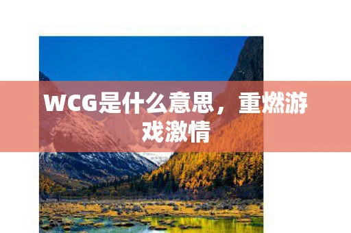WCG是什么意思，重燃游戏激情