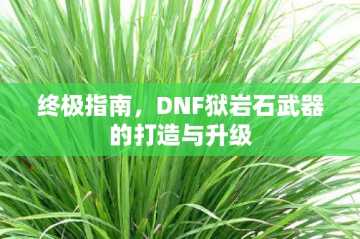终极指南，DNF狱岩石武器的打造与升级