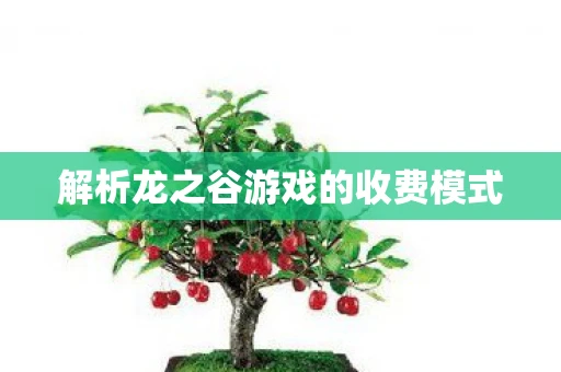 解析龙之谷游戏的收费模式
