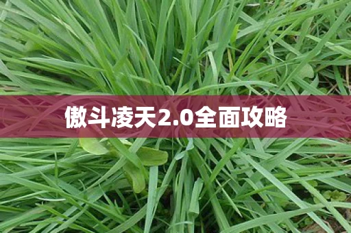 傲斗凌天2图片