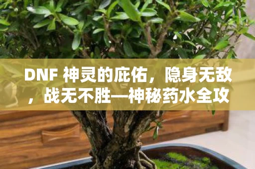 DNF 神灵的庇佑,隐身无敌,战无不胜—神秘药水全攻略 DNF 神灵的庇佑,隐身无敌,战无不胜—神秘药水全攻略