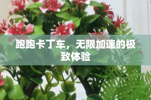 跑跑卡丁车，无限加速的极致体验