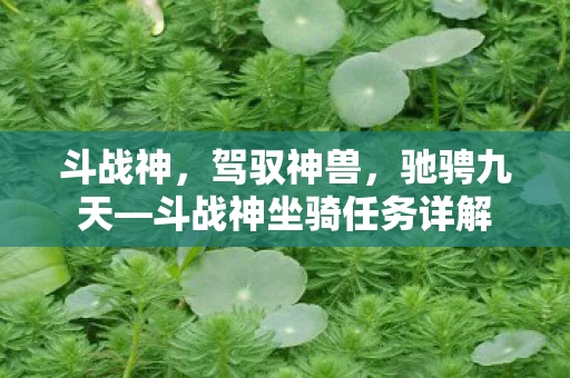 斗战神坐骑任务详解图片