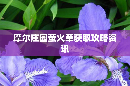 摩尔庄园萤火草获取攻略资讯