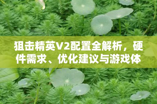 狙击精英V2配置全解析图片