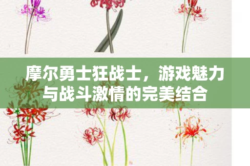 游戏魅力与战斗激情的完美结合图片