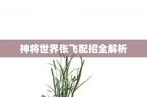 神将世界张飞配招全解析图片