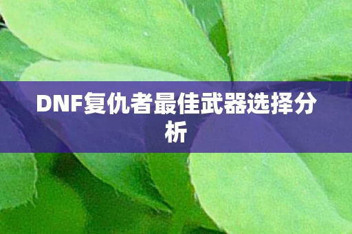 DNF复仇者最佳武器选择分析图片