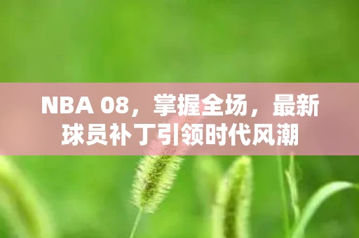NBA 08，掌握全场，最新球员补丁引领时代风潮