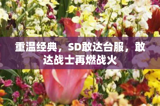 重温经典，SD敢达台服，敢达战士再燃战火