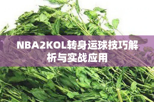 NBA2KOL转身运球技巧解析与实战应用