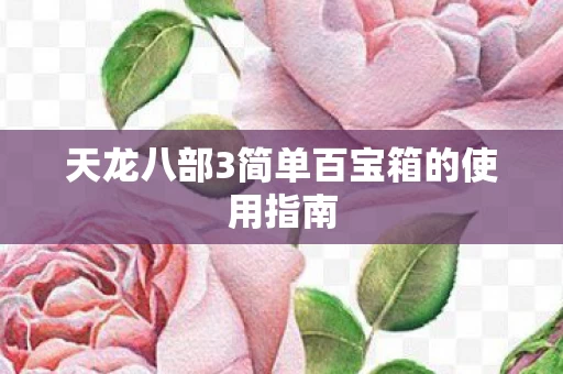 天龙八部3简单百宝箱的使用指南图片
