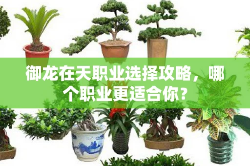 御龙在天职业选择攻略图片