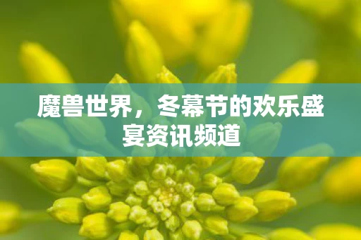 冬幕节的欢乐盛宴资讯频道图片