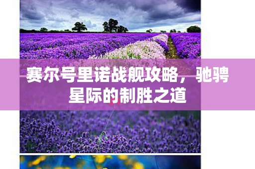 赛尔号里诺战舰攻略图片