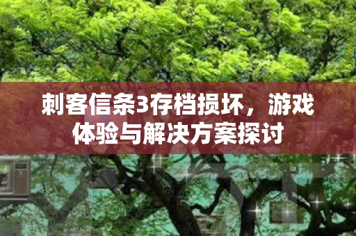 刺客信条3存档损坏，游戏体验与解决方案探讨