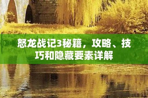 怒龙战记3秘籍，攻略、技巧和隐藏要素详解