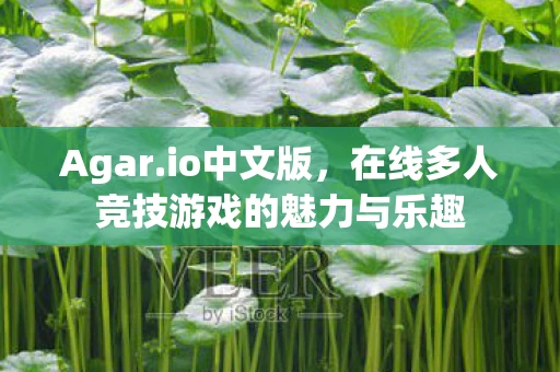 Agar.io中文版，在线多人竞技游戏的魅力与乐趣