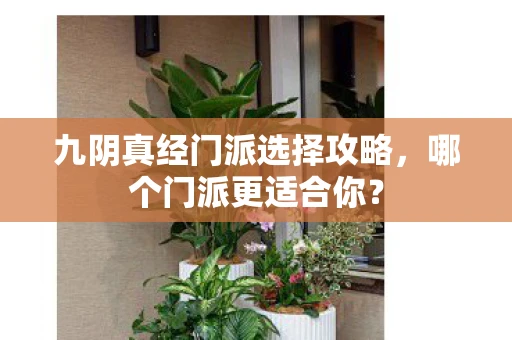 九阴真经门派选择攻略，哪个门派更适合你？