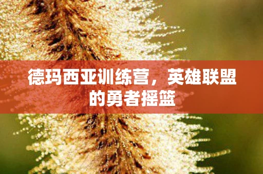 英雄联盟的勇者摇篮图片