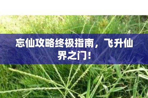忘仙攻略终极指南图片