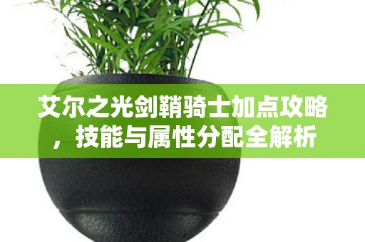 艾尔之光剑鞘骑士加点攻略，技能与属性分配全解析