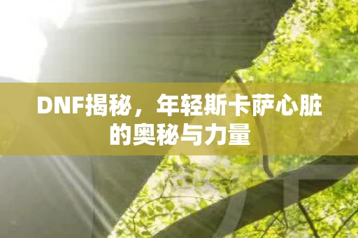 年轻斯卡萨心脏的奥秘与力量图片