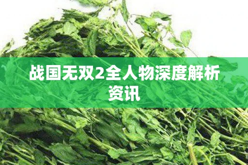 战国无双2全人物深度解析资讯