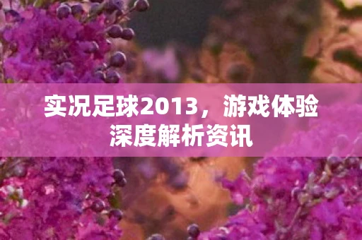 实况足球2013，游戏体验深度解析资讯