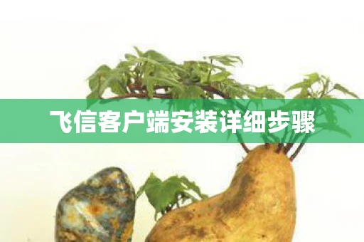 飞信客户端安装详细步骤