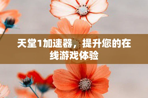 天堂1加速器，提升您的在线游戏体验