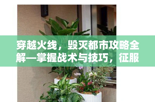 穿越火线，毁灭都市攻略全解—掌握战术与技巧，征服城市战场