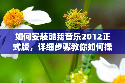 如何安装酷我音乐2012正式版，详细步骤教你如何操作