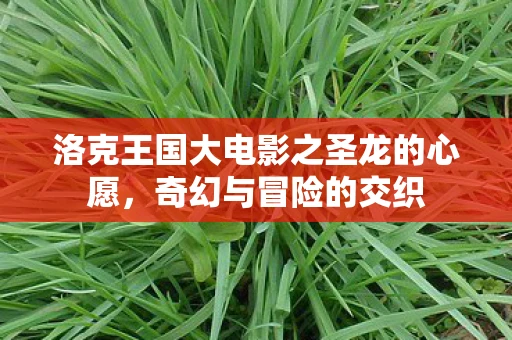 洛克王国大电影之圣龙的心愿，奇幻与冒险的交织