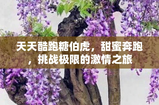 天天酷跑糖伯虎，甜蜜奔跑，挑战极限的激情之旅