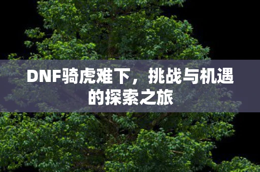 DNF骑虎难下，挑战与机遇的探索之旅