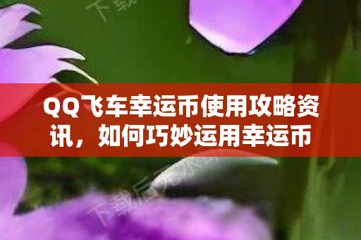 QQ飞车幸运币使用攻略资讯图片